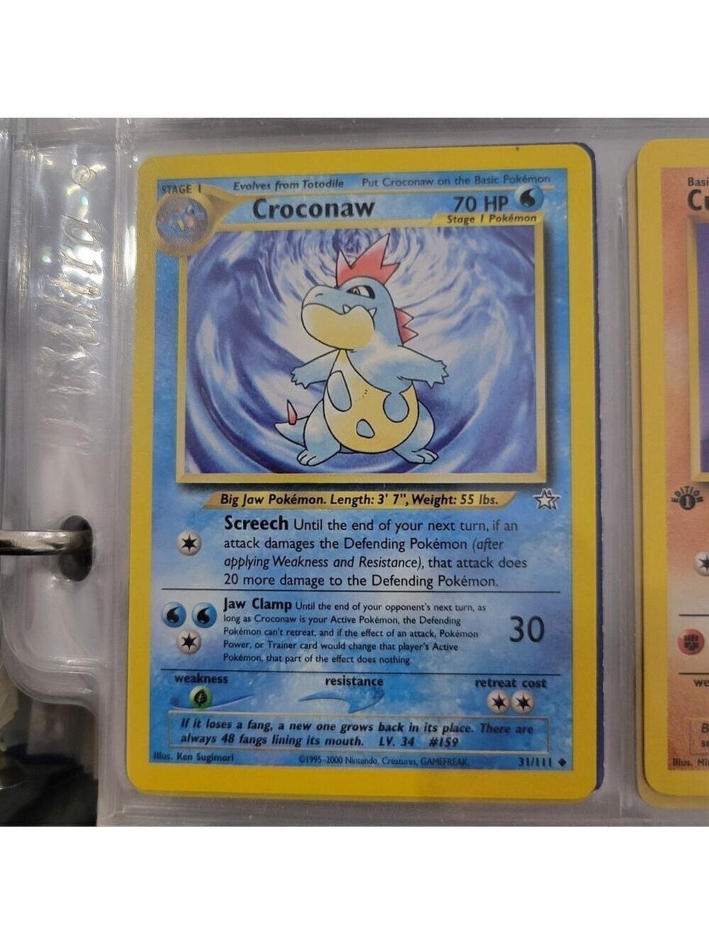 Pokemon Croconaw Card